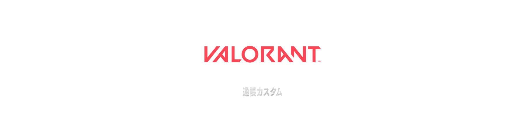 VALORANT 通帳カスタム